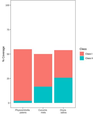 Different Families of Retrotransposons and DNA Transposons Are Actively Transcribed and May Have Transposed Recently in Physcomitrium (Physcomitrella) patens